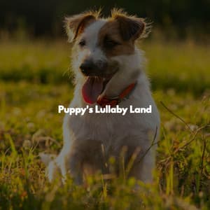 Puppy's Lullaby Land - Restaurant Jazz Classics