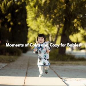 Moments of Calm and Cozy for Babies - Baby Lullaby Playlist
