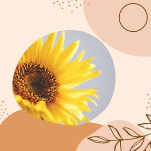 Latin Trumpet - Ambiance for Cold October Nite - Jazz Instrumental Songs Cafe