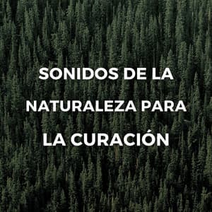 Sonidos De La Naturaleza Para La Curación - El proyecto de la naturaleza