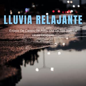 Éxtasis De Cantos De Aves: Día De Spa Bajo La Lluvia Relajante - Sonido de lluvia