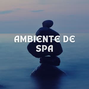 Ambiente De Spa - Reiki Consorte de Curación