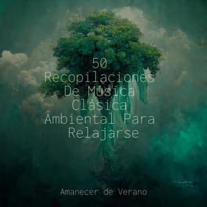 50 Recopilaciones De Música Clásica Ambiental Para Relajarse - Canción de Cuna