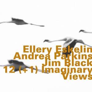 12 Imaginary Views - Ellery Eskelin