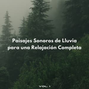 Paisajes Sonoros De Lluvia Para Una Relajación Completa Vol. 1 - Deja que llueva