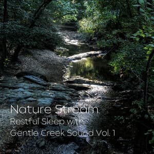 Nature Stream: Restful Sleep with Gentle Creek Sound Vol. 1 - Nature Sounds With Music