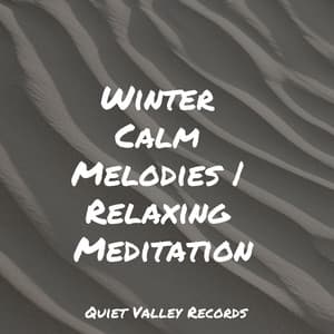Winter Calm Melodies | Relaxing Meditation - Rain Man Sounds