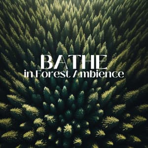 Bathe in Forest Ambience: Immerse Yourself in the Tranquility of the Woods - Beautiful Nature Music Paradise