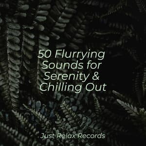 50 Flurrying Sounds for Serenity & Chilling Out - Powerthoughts Meditation Club