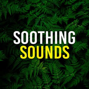 Soothing Sounds - Zen Sounds