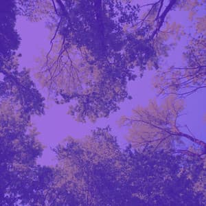 Feelings for After Hours Work - Música Ambiental para Cafés