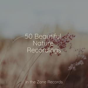 50 Beautiful Nature Recordings - Chinese Relaxation and Meditation