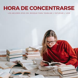 Hora De Concentrarse: Los Mejores Ríos Del Bosque Para Trabajar / Estudiar / Leer - Estudiando Música