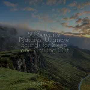 50 Serenity Natures: Ultimate Sounds for Sleep and Chilling Out - Dog Music