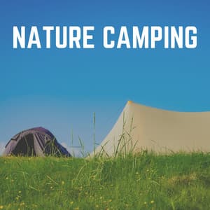 Nature Camping - Nature Calm