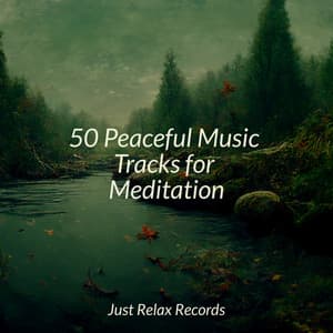50 Peaceful Music Tracks for Meditation - Soothing Sounds