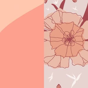 Jazz Violin - Background for Colorful Gambles - Work from Home Groove