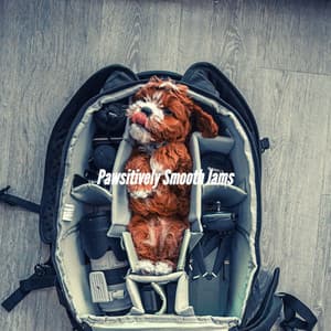 Pawsitively Smooth Jams - Musica Relajante para Perros Momentos