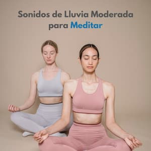 Sonidos De Lluvia Moderada Para Meditar - Siente El Clima