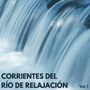 Corrientes Del Río De Relajación Vol. 1 - Agua calmante