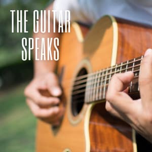 The Guitar Speaks - Jazz Guitar Guys