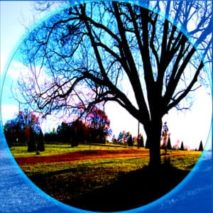 Soothing White Noise, Brown Noise, Appliances, and other Audio - Deep Sleep Relaxation