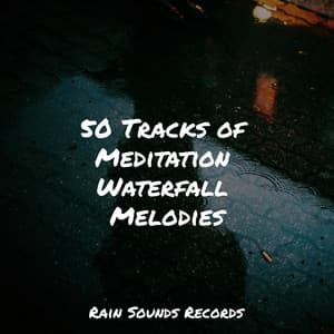 50 Tracks of Meditation Waterfall Melodies - Guided Meditation