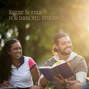 Nature Sounds for Improved Studying - Nature Caldwell