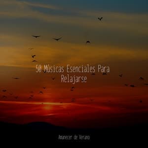 50 Músicas Esenciales Para Relajarse - Sonidos de la Naturaleza Relajacion