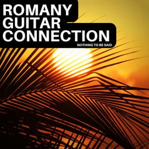 Nothing to Be Said - Romany Guitar Connection
