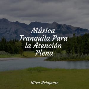Música Tranquila Para la Atención Plena - Naturaleza Relajacion