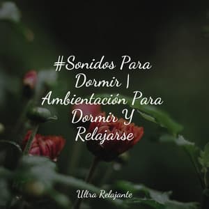 #Sonidos Para Dormir | Ambientación Para Dormir Y Relajarse - Música a Relajarse