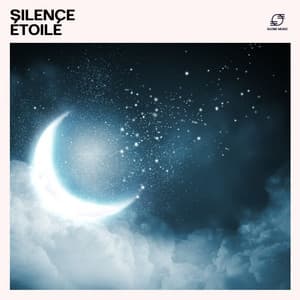 Silence Étoilé - Musique pour Dormir