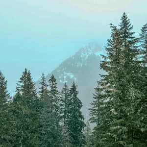 1 Hour of Static: Nature-Inspired Ambience - White Noise for Babies