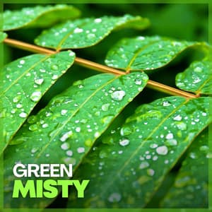 Green Misty - 24H Rain Sounds