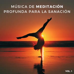 Música De Meditación Profunda Para La Sanación, Vol. 1 - Reiki Consorte de Curación
