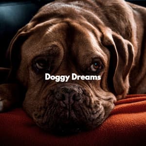 Doggy Dreams - Musica para Hoteles Bgm