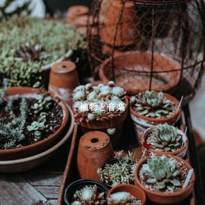 植物と音楽 - Musica per Studiare