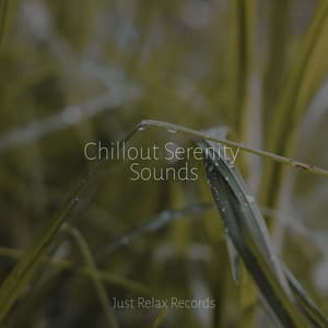 Chillout Serenity Sounds - Música Relajante para Bebés
