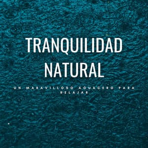 Tranquilidad Natural: Un Maravilloso Aguacero Para Relajar - Estado de ánimo de lluvia