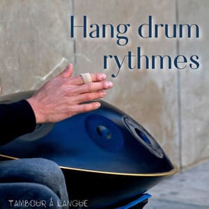 Hang drum rythmes - Tambour à Langue