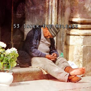 53 Inner Eye Release - Pet Relax Academy