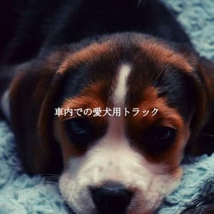 車内での愛犬用トラック - Coffee House Jazz Playlist