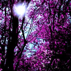 Soothing White Noise, Brown Noise, Appliances, and other Audio - Peaceful Sleep