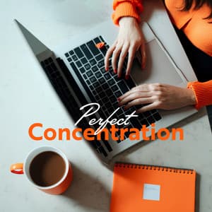 Perfect Concentration: Improve Memory, Stay Calm and Focused, Instrumental Relaxing Pieces - Feel Good Jazz