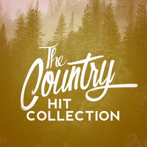 The Country Hit Collection - Country Rock Party
