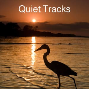 Quiet Tracks - Koh Lantana