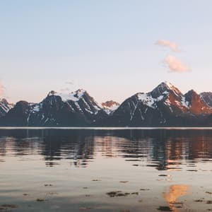 Yoga de la Naturaleza - Música De Relajación Para Dormir Profundamente