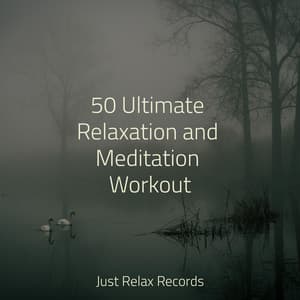 50 Ultimate Relaxation and Meditation Workout - Meditar Profundamente
