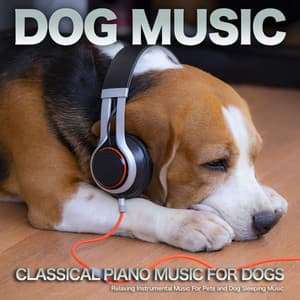 Dog Music: Classical Piano Music For Dogs, Relaxing Instrumental Music For Pets and Dog Sleeping Music - Dog Music